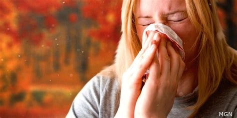 Ragweed allergies on the fall horizon