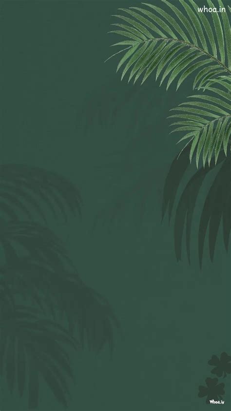 Natural Green Color Mobile Wallpaper , Mobile Pictures
