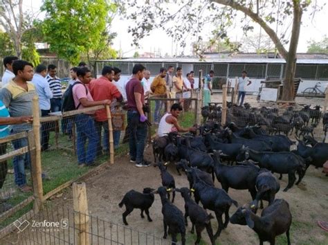 ERS_kolkataCampus:Indian Veterinary Research Institute