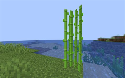 Sugar Cane Minecraft