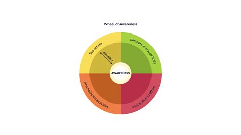 Dan Siegel: The Wheel of Awareness (Parts & Practice) | Shortform Books
