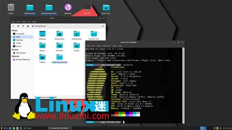 Linux Lite 64-Bit 的图像结果