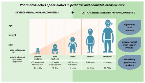 Pharmacokinetics of Antibiotics in Pediatric Intensive Care: Fostering Variability to Attain ...