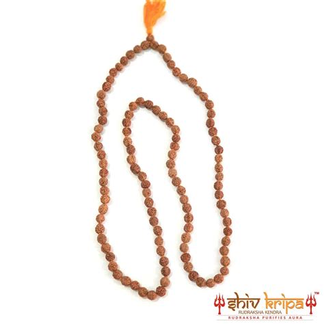 5 Mukhi Rudraksha Mala Nepali – Shiv Kripa Rudraksha