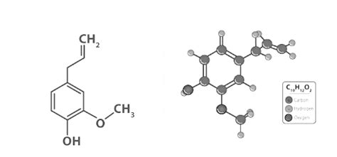 Elimination Reaction: E1 and E2 Reaction Mechanisms - JEE PDF Download