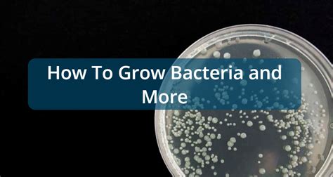 Image result for Practical Biology Experiments