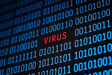 Virus Program 的图像结果