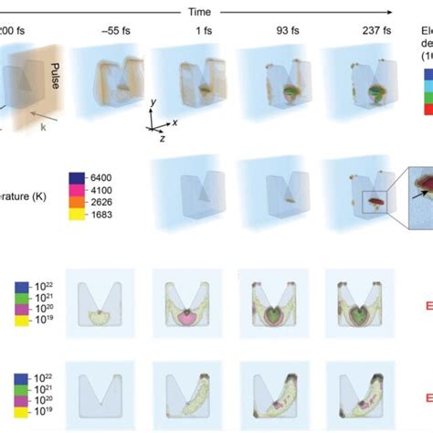 Cell Simulation 的图像结果