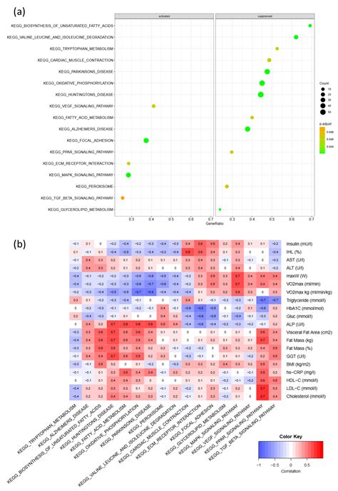 Twelve Weeks of High-Intensity Interval Training Alters Adipose Tissue ...