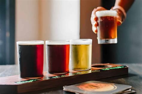 Image result for IPA Examples Drink