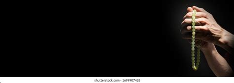 Plead 的图像结果