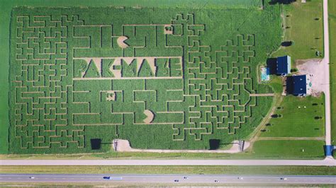 Lilley Farms Corn Maze at Mia Fortune blog