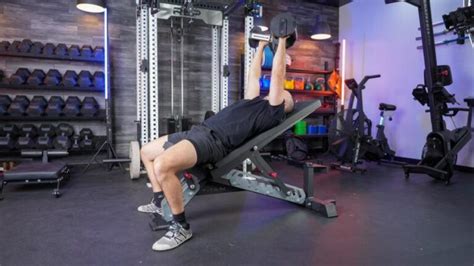 Image result for Step Bench Titan Life