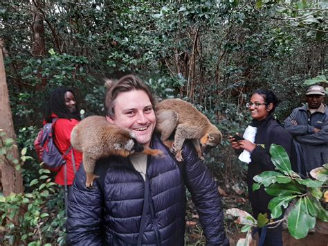 A dancing lemur could help save one of Madagascar’s most endangered ecosystems