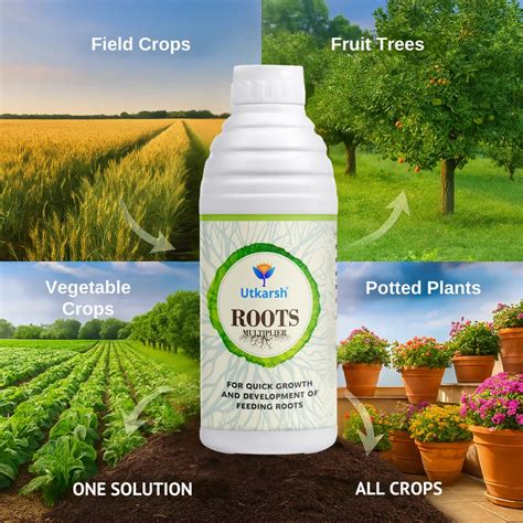 Roots Multiplier (For Quick Hairy Roots Formation) Plant Food for Heal