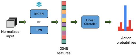 Deep-Learning-Based Action and Trajectory Analysis for Museum Security ...