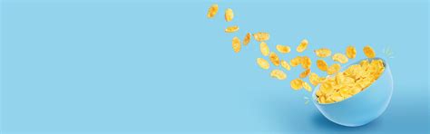 Corn Products – Gokul Snacks
