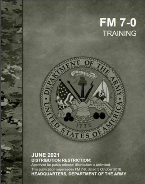 8 Step Training Module Examples 的图像结果