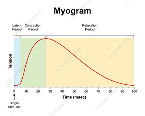 Image result for Myogram