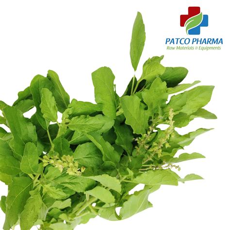 Patco Pharma TulasPan Powder – Patco Pharmaceuticals Pvt. Ltd.