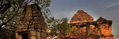 Top Tiger Tours | Best Tiger Tours