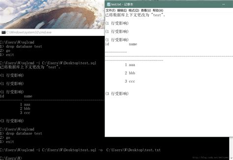 SqlCommand 的图像结果