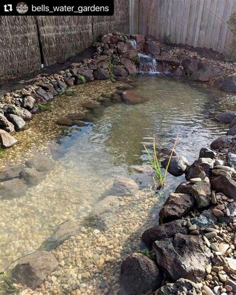 Image result for Turtle Habitat Setup