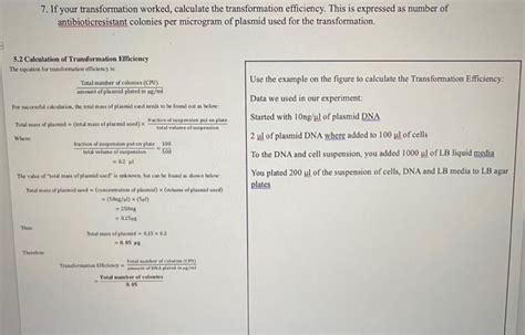 Image result for Transformation Efficiency Formula