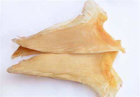 【鱼翅】鱼翅是名贵山珍海味，鱼翅的价格多少钱一斤