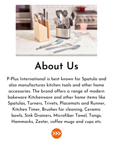 Buy P-Plus International Silicone Basting Brush Set,Stainless Steel ...