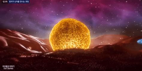 Vagina: Structure, Functions, Practice Problems and FAQs in Biology ...