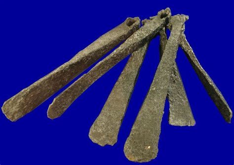 Is Shells an Example of Commodity Money 的图像结果