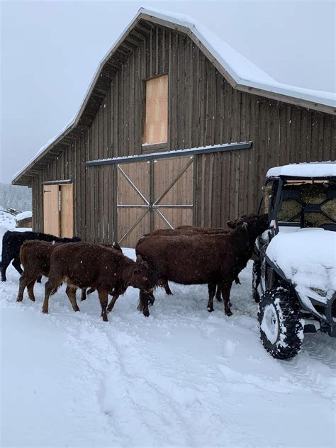 Image result for Barn Building Tips