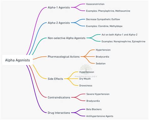 Pharmacology of Alpha Agonists | Pharmacology Mentor