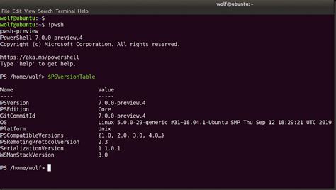 Install PowerShell 7 Windows 10 的图像结果