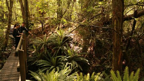 Stewart Island Is New Zealand’s Best Kept Secret For A Thrilling Getaway