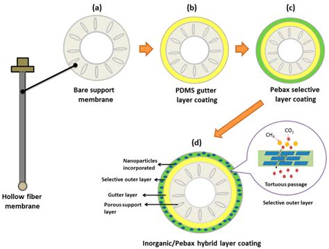 Impacts of Multilayer Hybrid Coating on PSF Hollow Fiber Membrane for ...