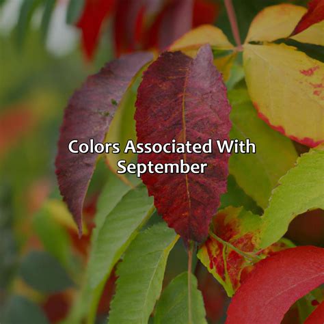 What Color Represents September - colorscombo.com