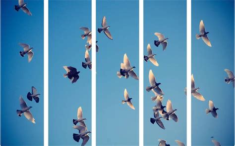 999STORE Flying Birds painting for living room bedroom wall decoration ...