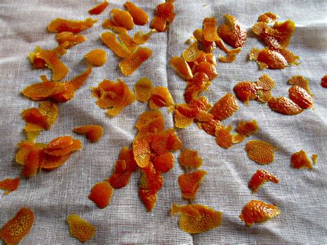 How to Easily Dry Orange Slices and Peel • Craft Invaders