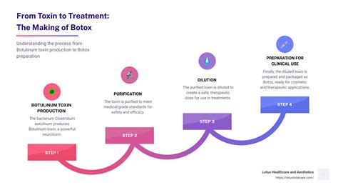 The Definitive Guide to What Botox Is Made Of - Lotus Healthcare and Aesthetics