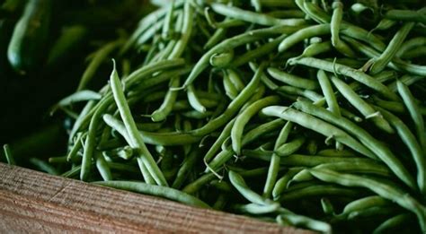 The Ultimate Healthy Food Guide - Recipes, Meal Plans, Diet Charts