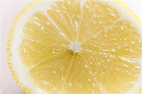 Image result for Lemon Slice Texture
