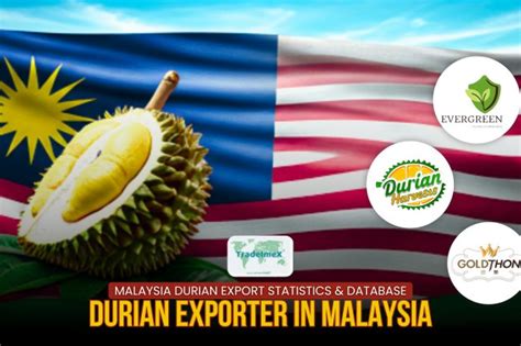 Top 10 Fish Exporting Countries in 2023 - TradeImeX Blog | Global Trade ...