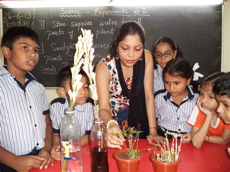 Science Experiments for 3rd Graders 的图像结果