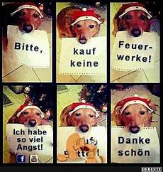 lustige silvester bilder zum verschicken bitte kauf keine feuerwerke mit bildern hund lustige silvester bilder zum verschicken bitte kauf keine feuerwerke mit bildern hund