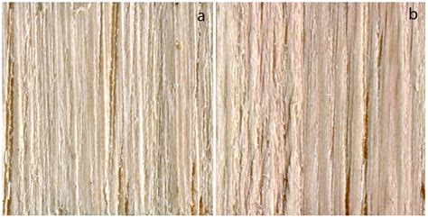 Alternative Carrier Solvents for Pigments Extracted from Spalting Fungi