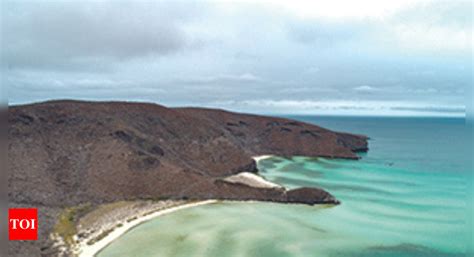 Indian Institute Of Science: Fish Ear Bones Hold Key To Map Ocean ...