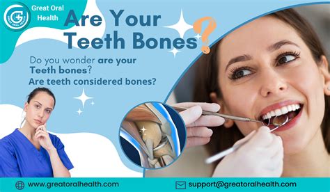 Are your teeth bones | What are teeth made out of | Teeth vs bone ...