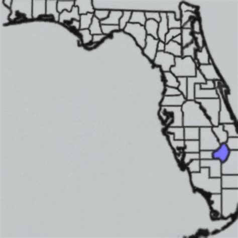 Image result for 239 Area Code Map